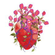 WORLD WOMEN WELLBEING CIC