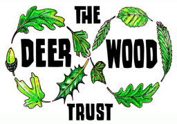 THE DEER WOOD TRUST C.I.C.