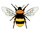 HAWARDEN BEE SANCTUARY COMMUNITY INTEREST COMPANY