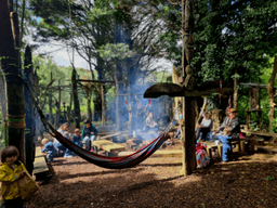 RISING ROOTED VILLAGE CIC