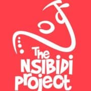 THE NSIBIDI PROJECT CIC