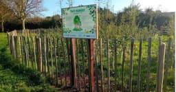 EXMOUTH TINY FOREST CIC