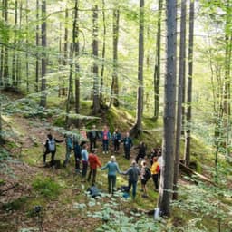 NATURE AND THERAPY CIC