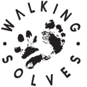 WALKING SOLVES CIC