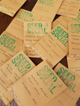 SEED SOCIAL NORTH EAST C.I.C.
