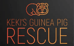 KEKI'S GUINEA PIG RESCUE CIC
