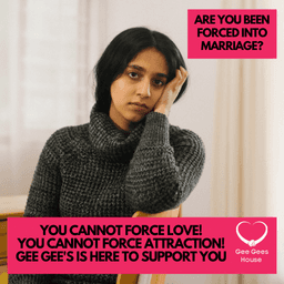 GEE GEES HOUSE COMMUNITY CIC