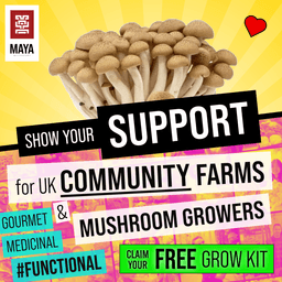 MAYA MUSHROOMS UK CIC