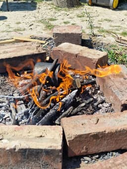 FORGED IN NATURE FOREST SCHOOL CIC