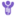 LOVE YOUR GUT CIC
