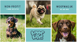 WOOF WAG CIC