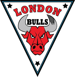LONDON BULLS ACADEMY CIC