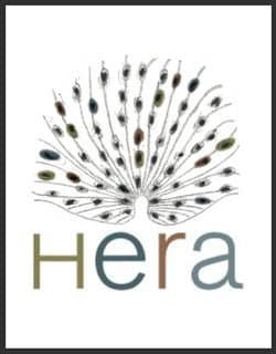 THE HERA PROJECT CIC