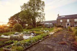 LAURELBANK COMMUNITY INTEREST COMPANY