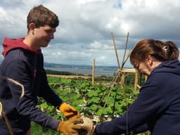 EDINBURGH AGROECOLOGY CO-OP CIC