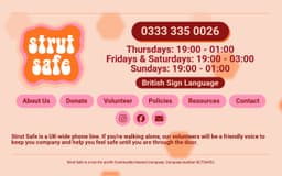 STRUT SAFE CIC